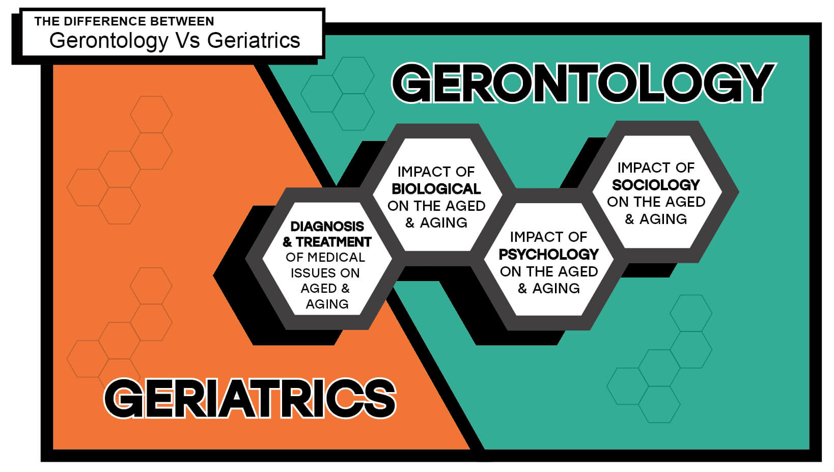 Infographic showing the differences between Geriatrics and Gerontology