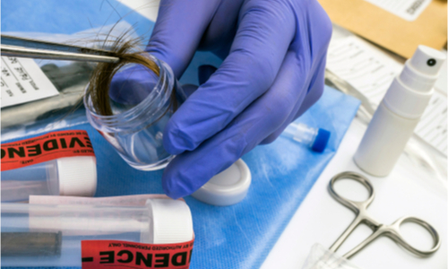 Person wearing gloves putting hair into an evidence container